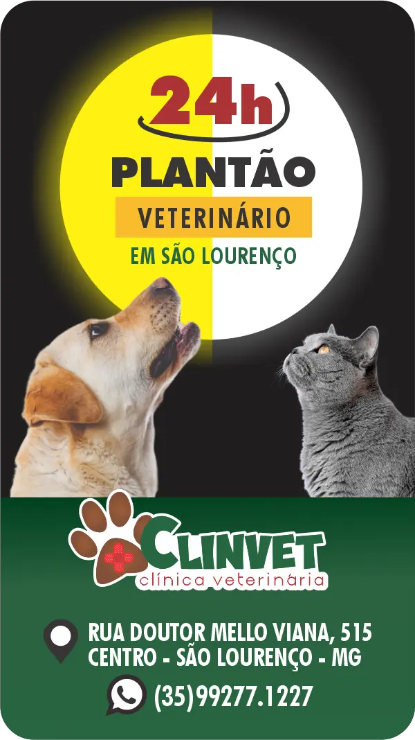 Serviços
